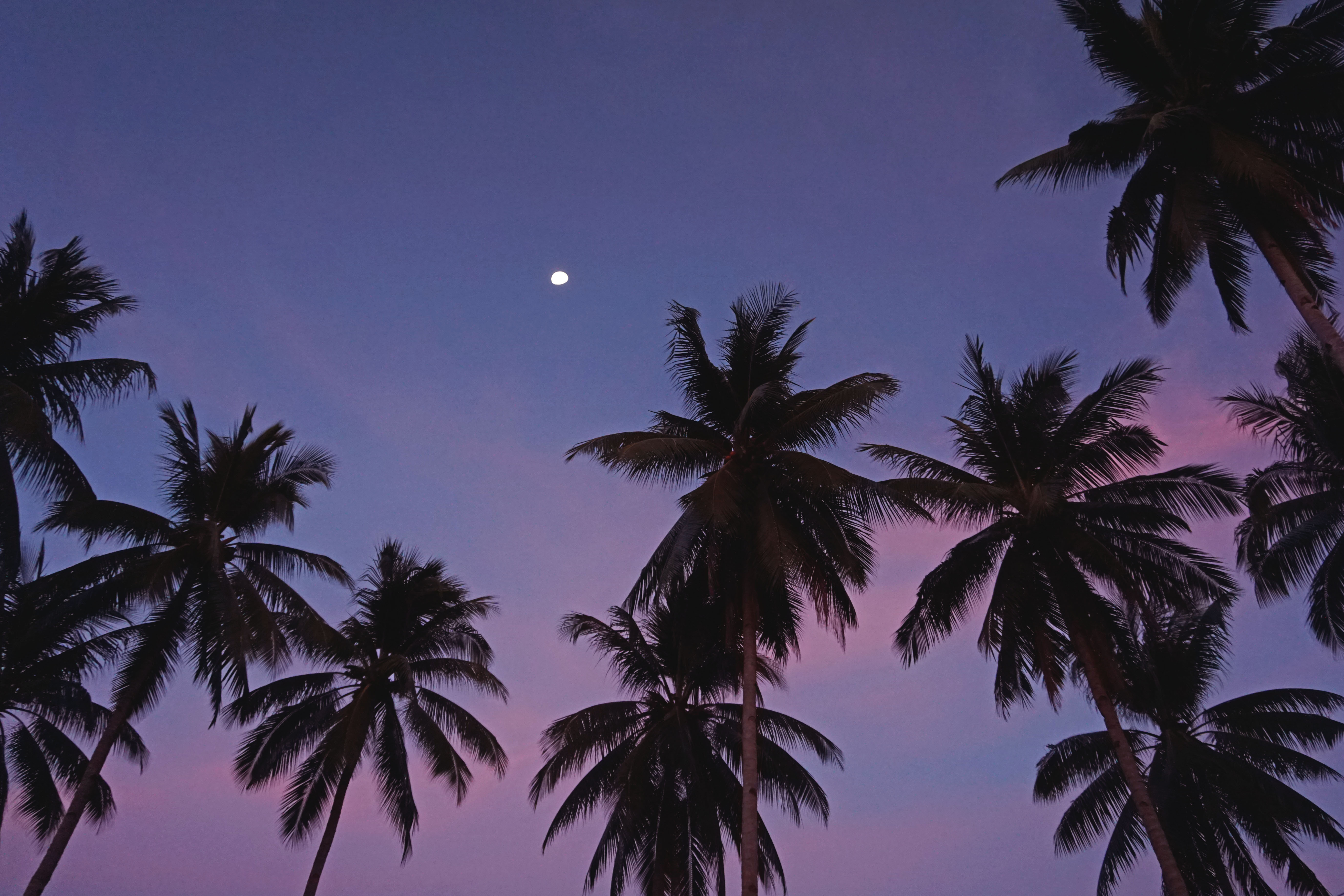 El Nido, Palawan, Filipiinid