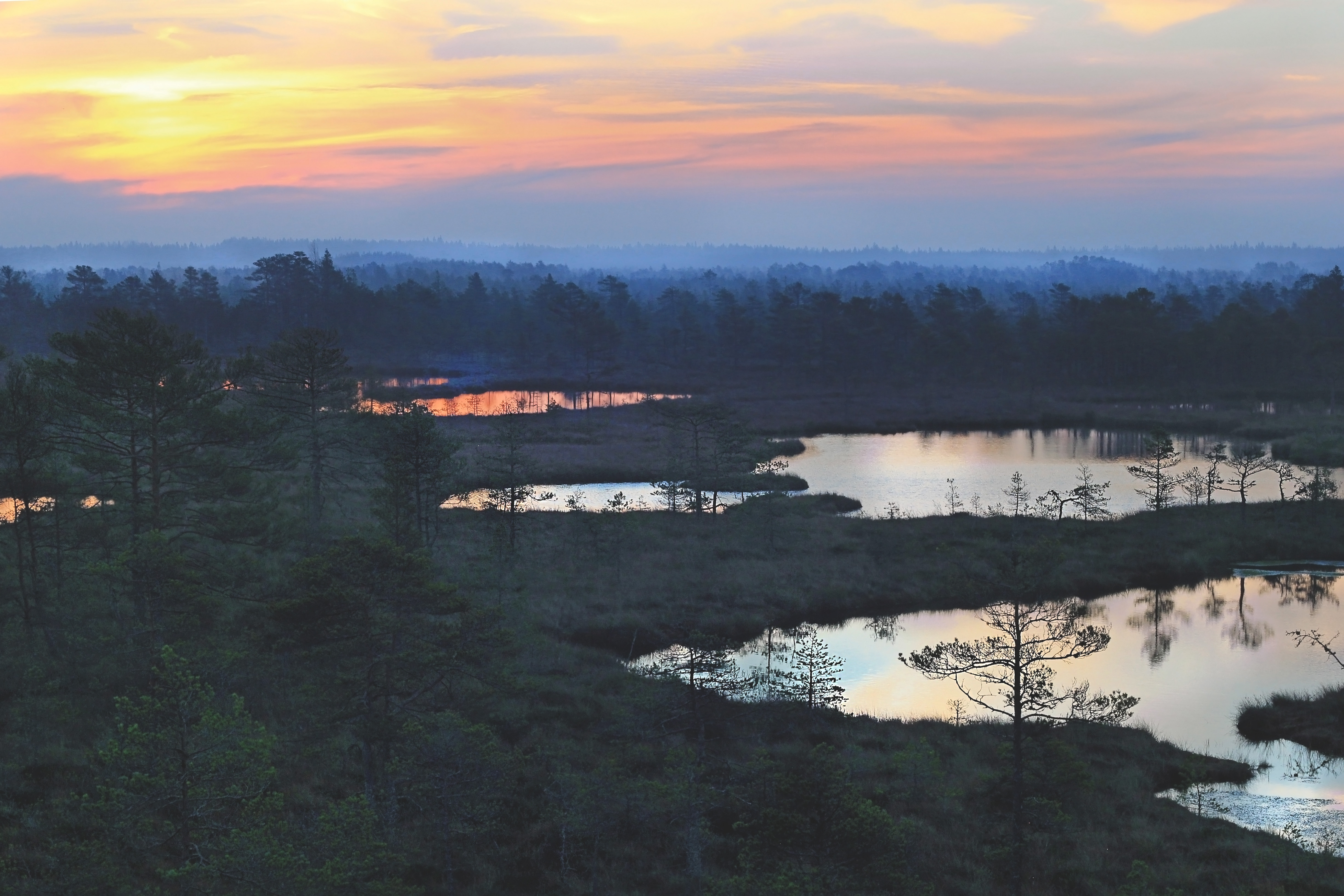 Suru soo ehk Kõnnu Suursoo