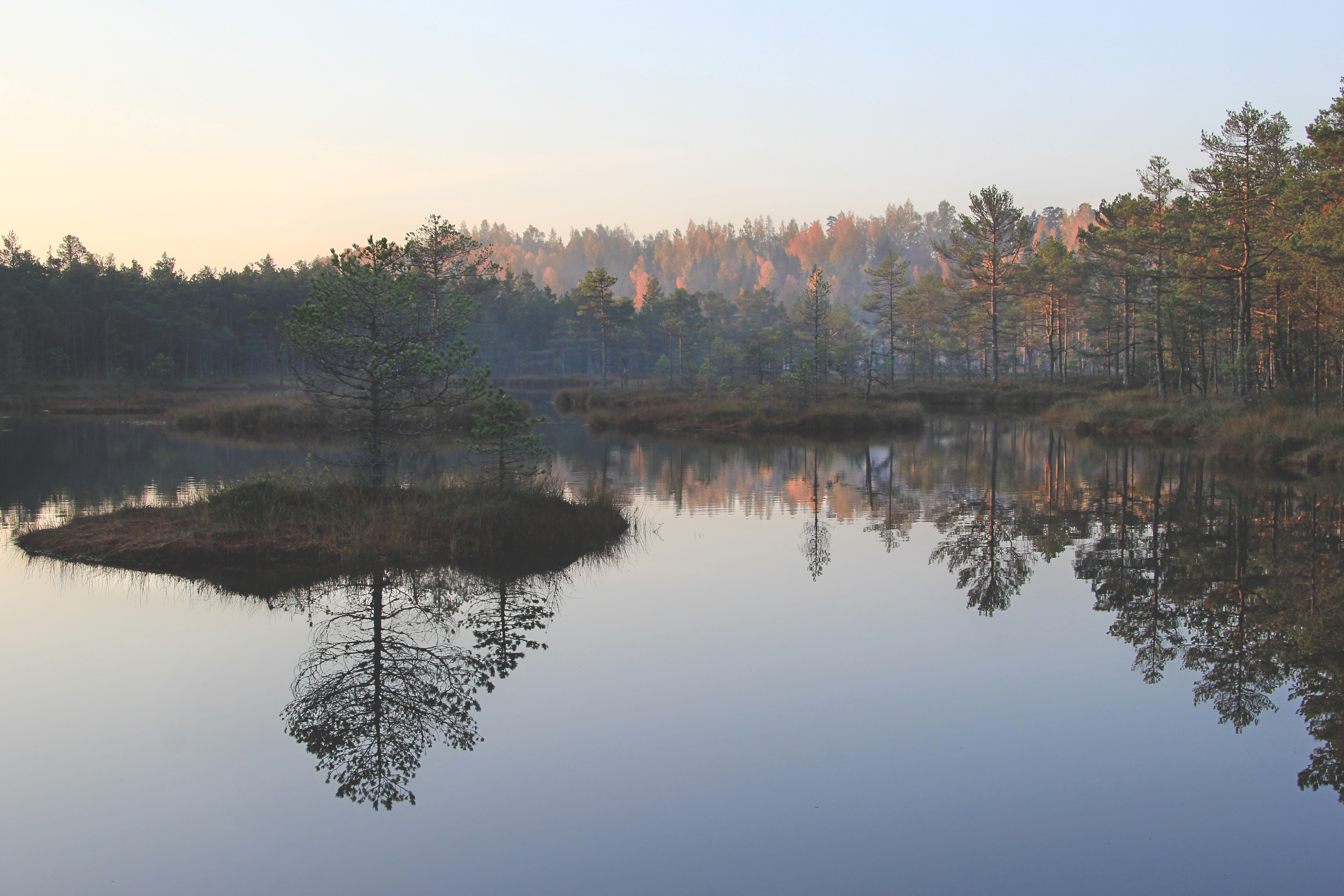 Suru soo ehk Kõnnu Suursoo