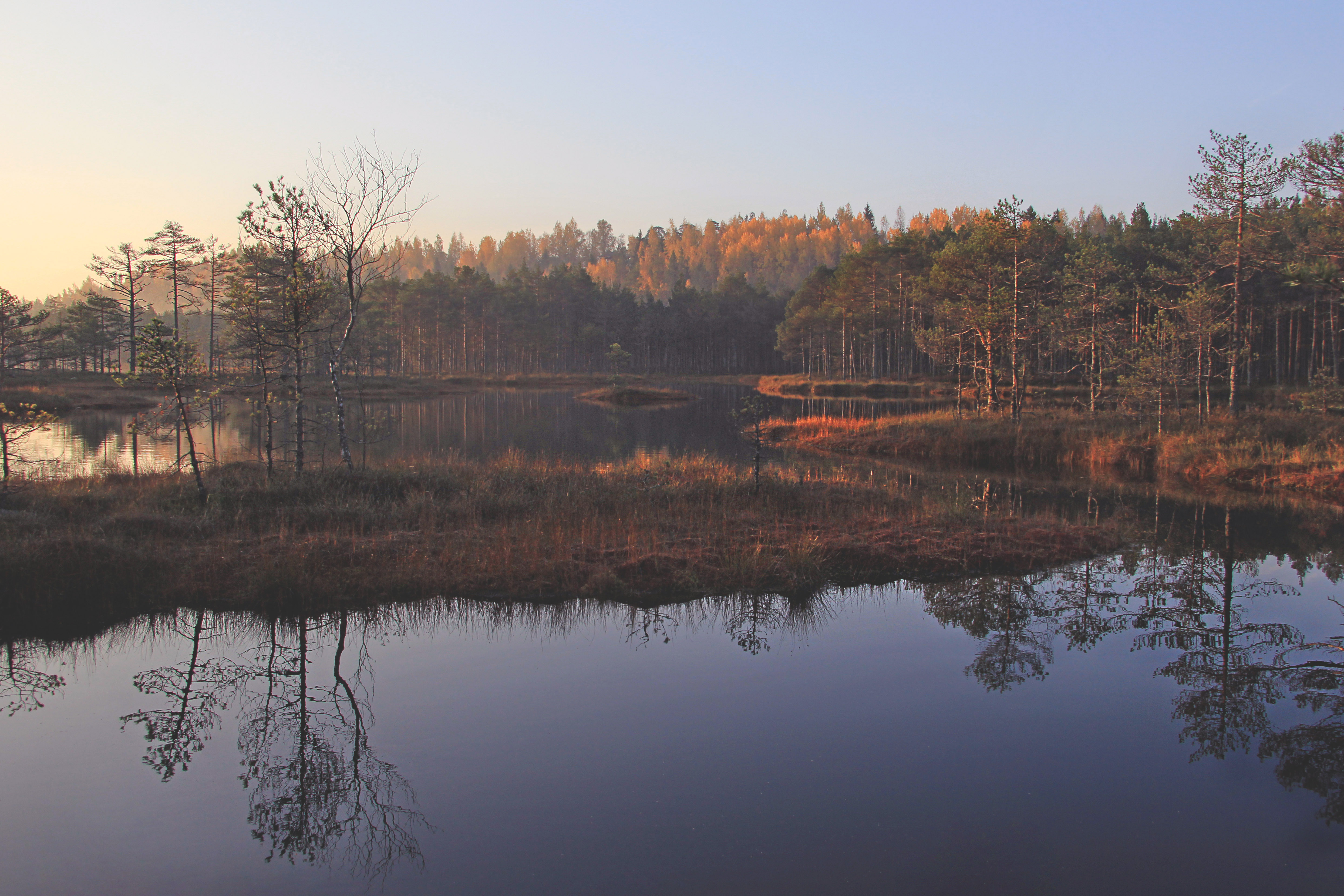 Suru soo ehk Kõnnu Suursoo