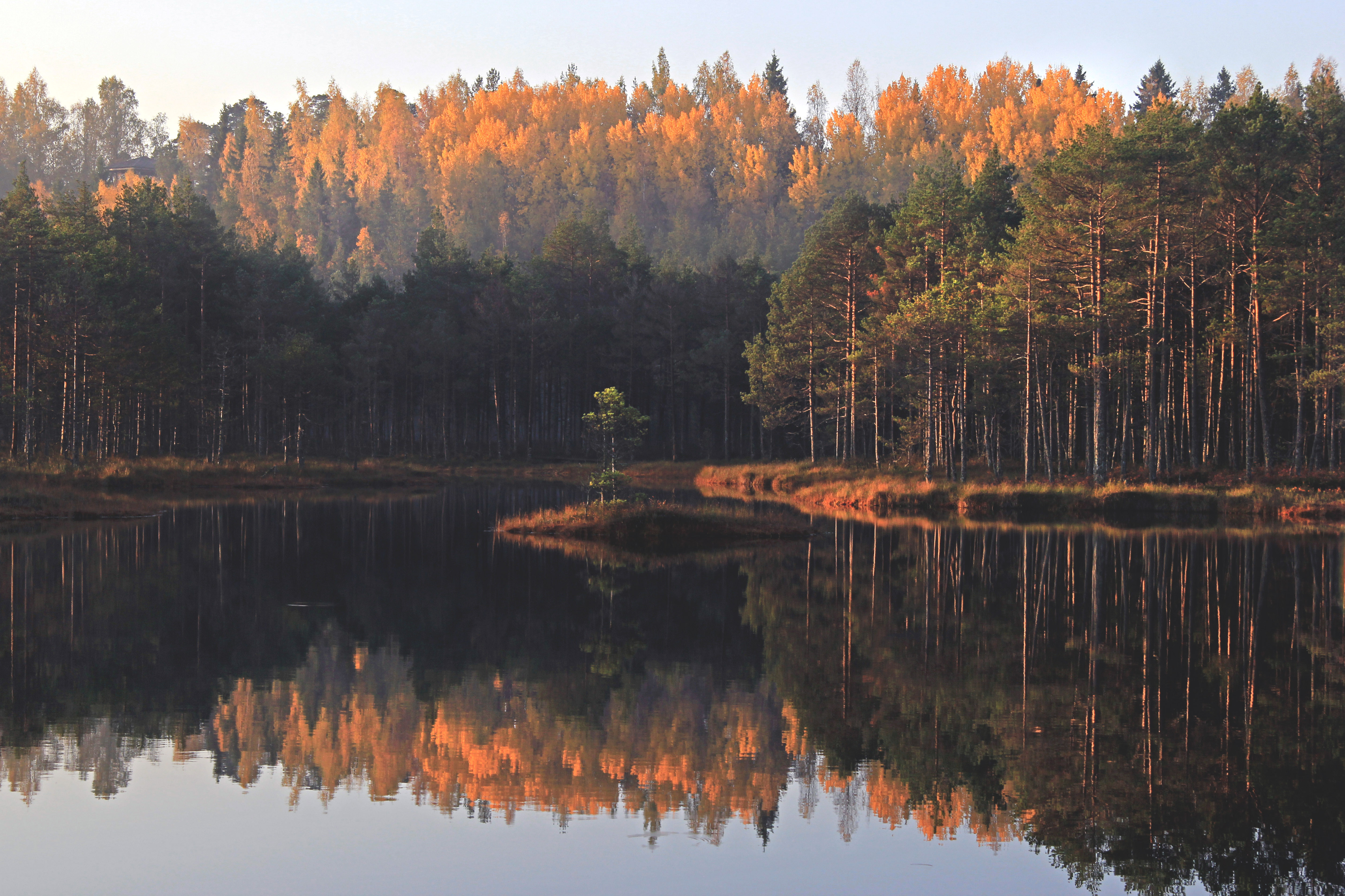 Suru soo ehk Kõnnu Suursoo