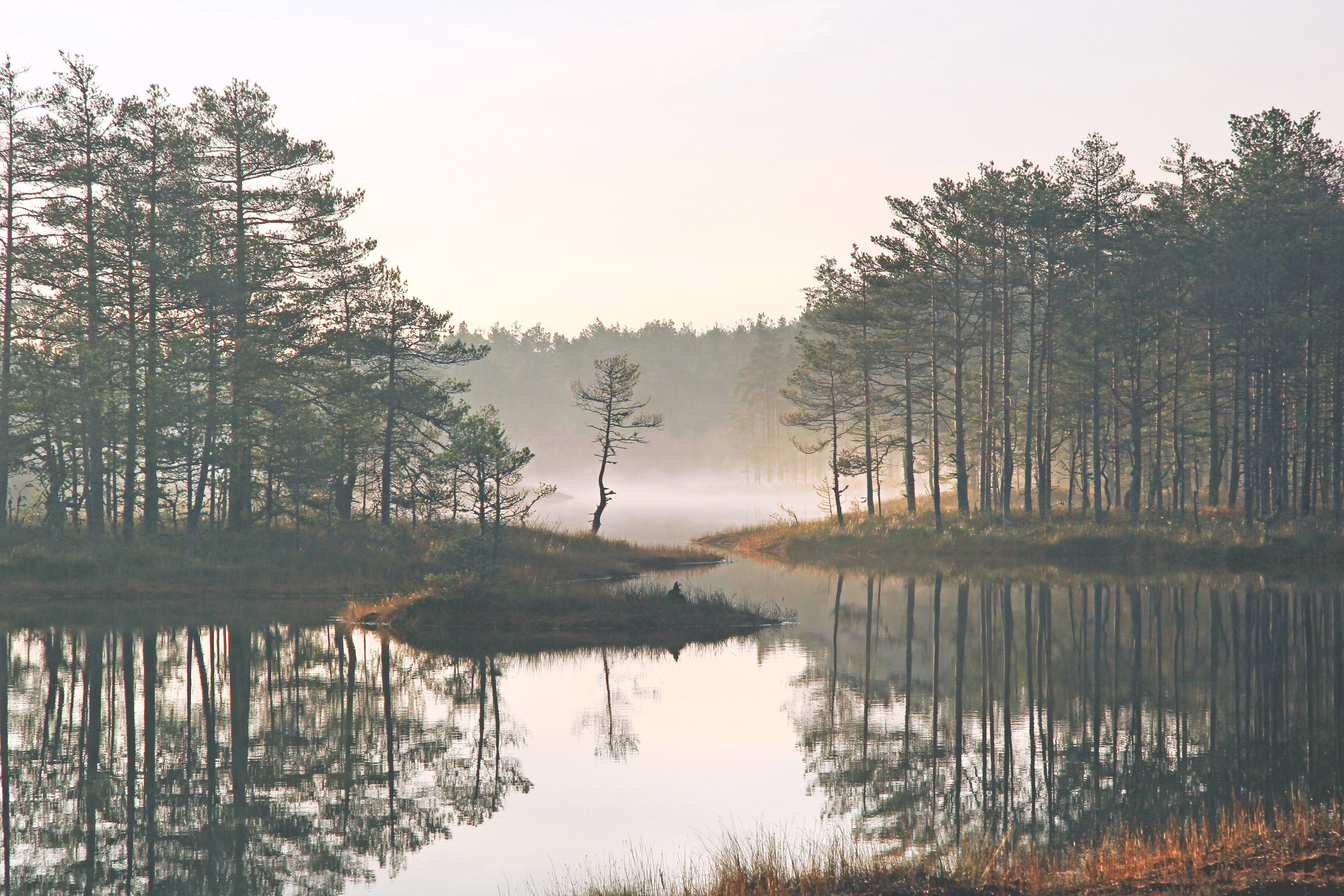 Suru soo ehk Kõnnu Suursoo