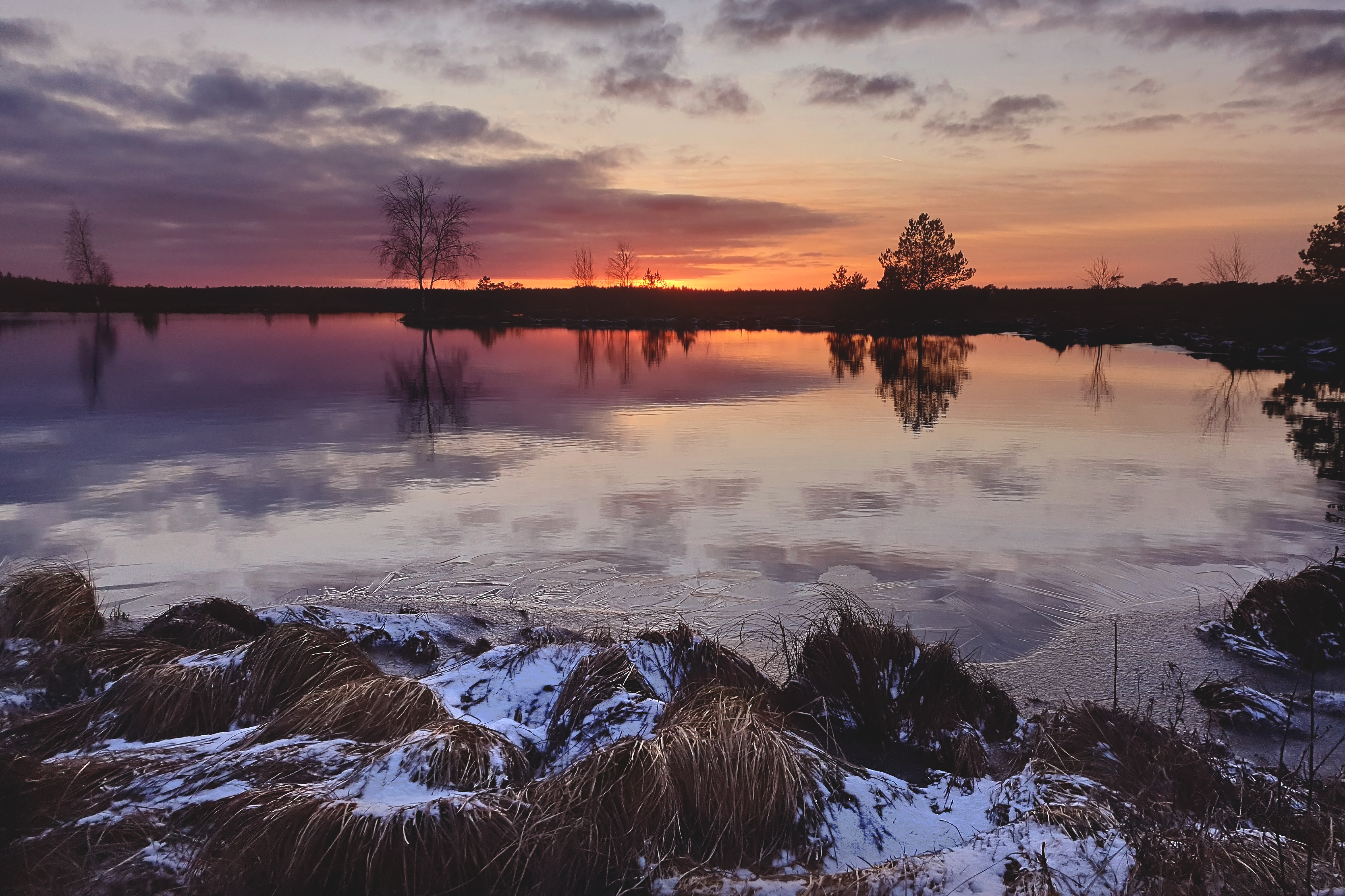 Tammsaare - Kodru raba - Järva-Madise matkarada