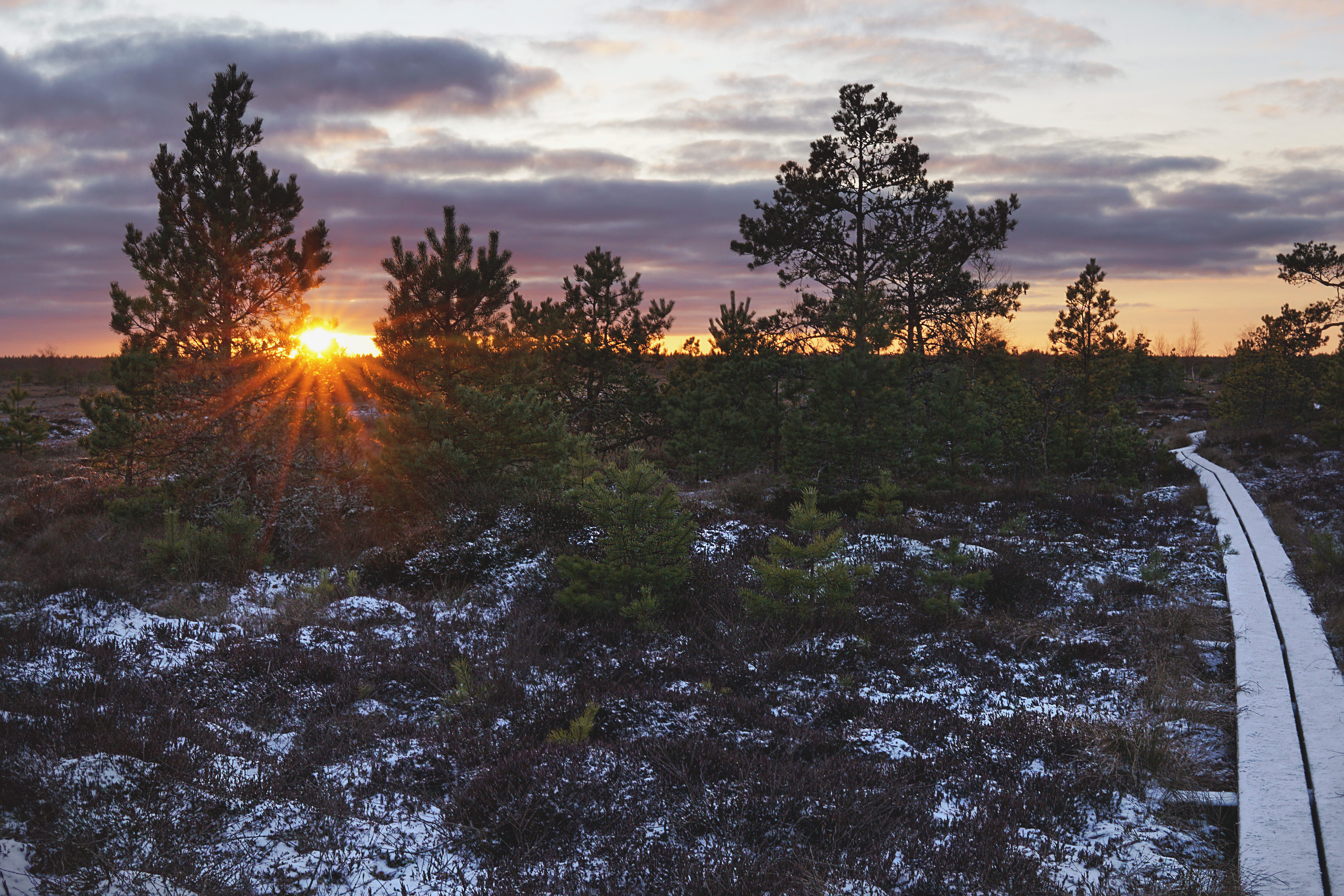 Tammsaare - Kodru raba - Järva-Madise matkarada