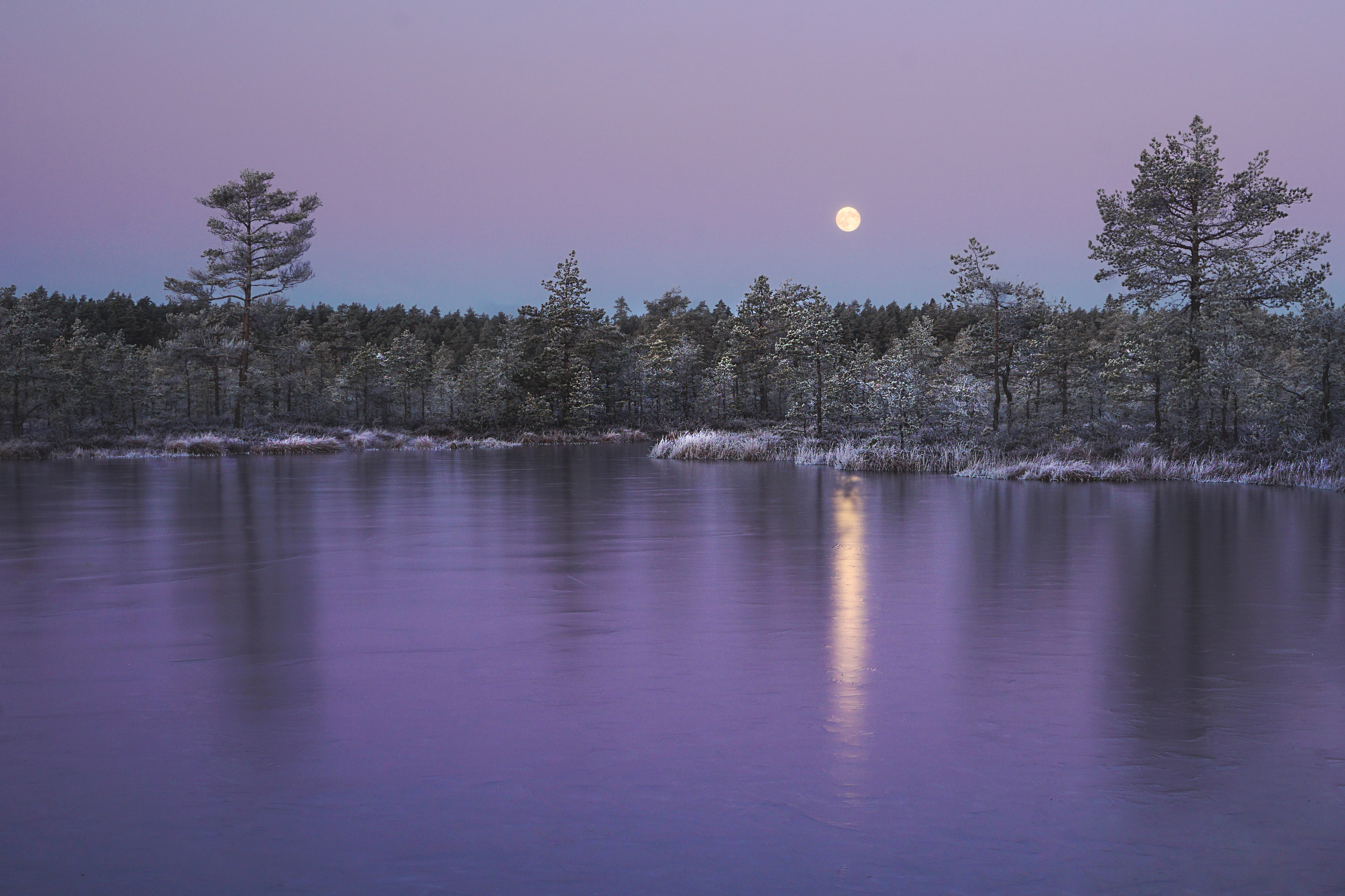 Päikesetõus Viru rabas