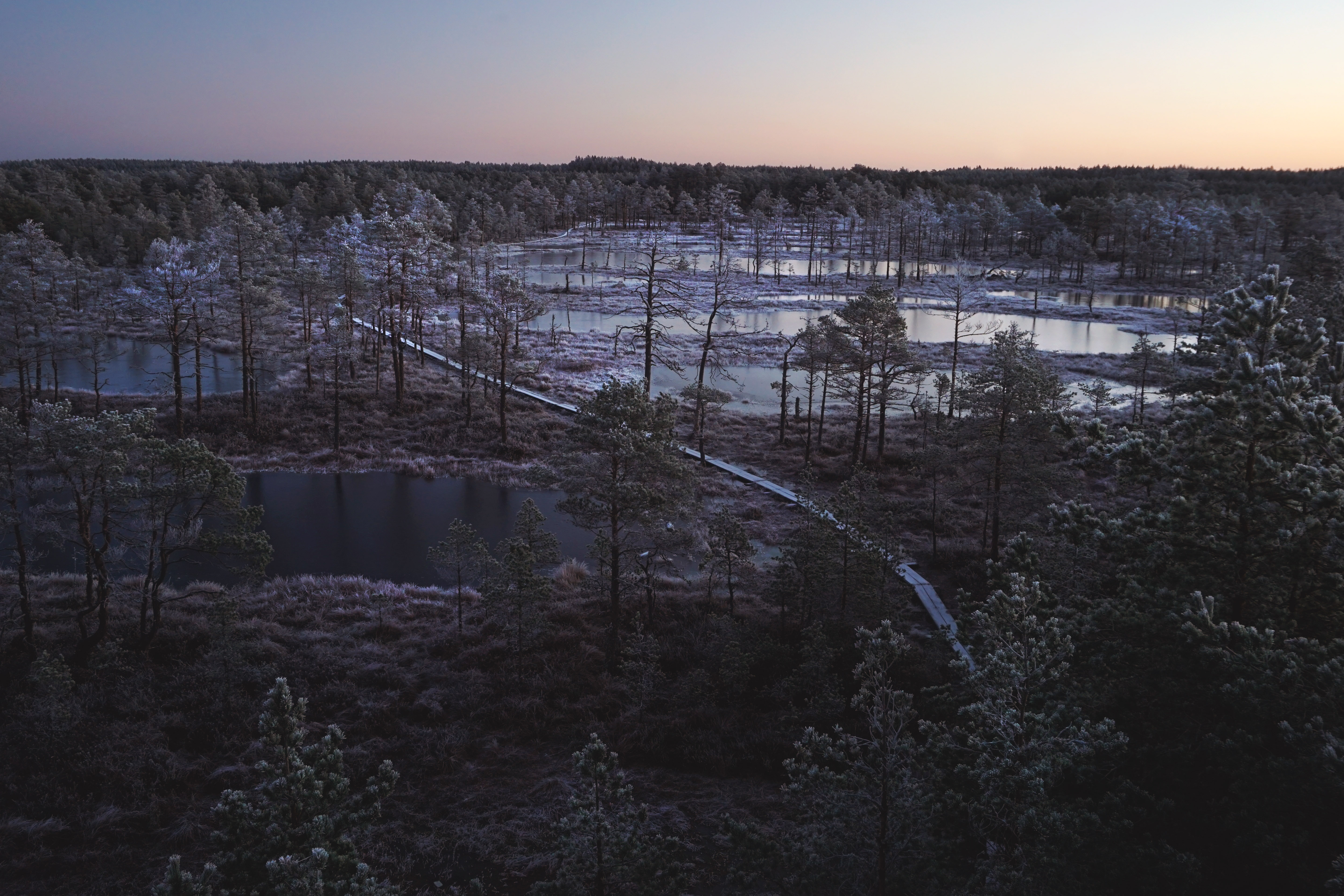 Päikesetõus Viru rabas