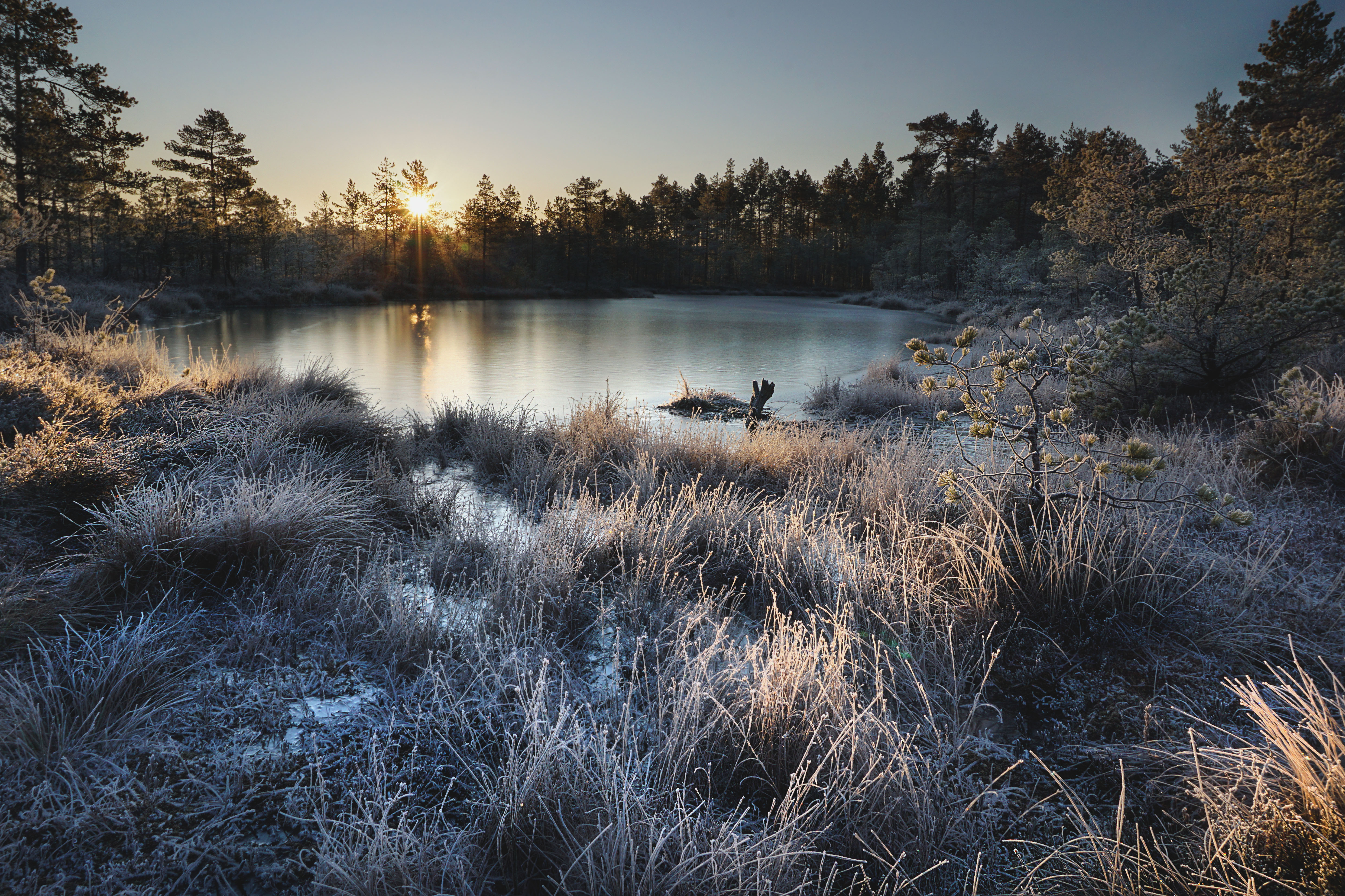 Päikesetõus Viru rabas