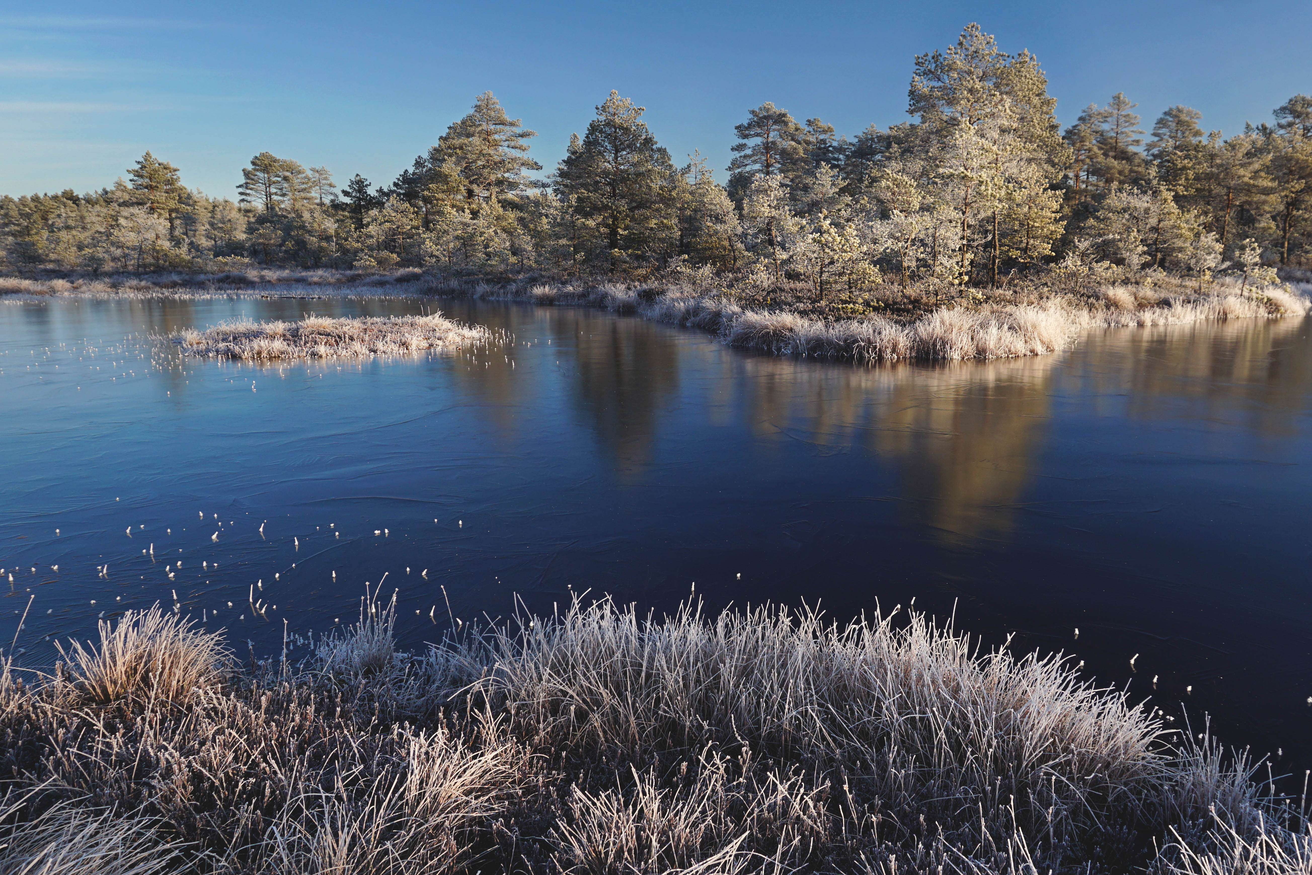 Päikesetõus Viru rabas