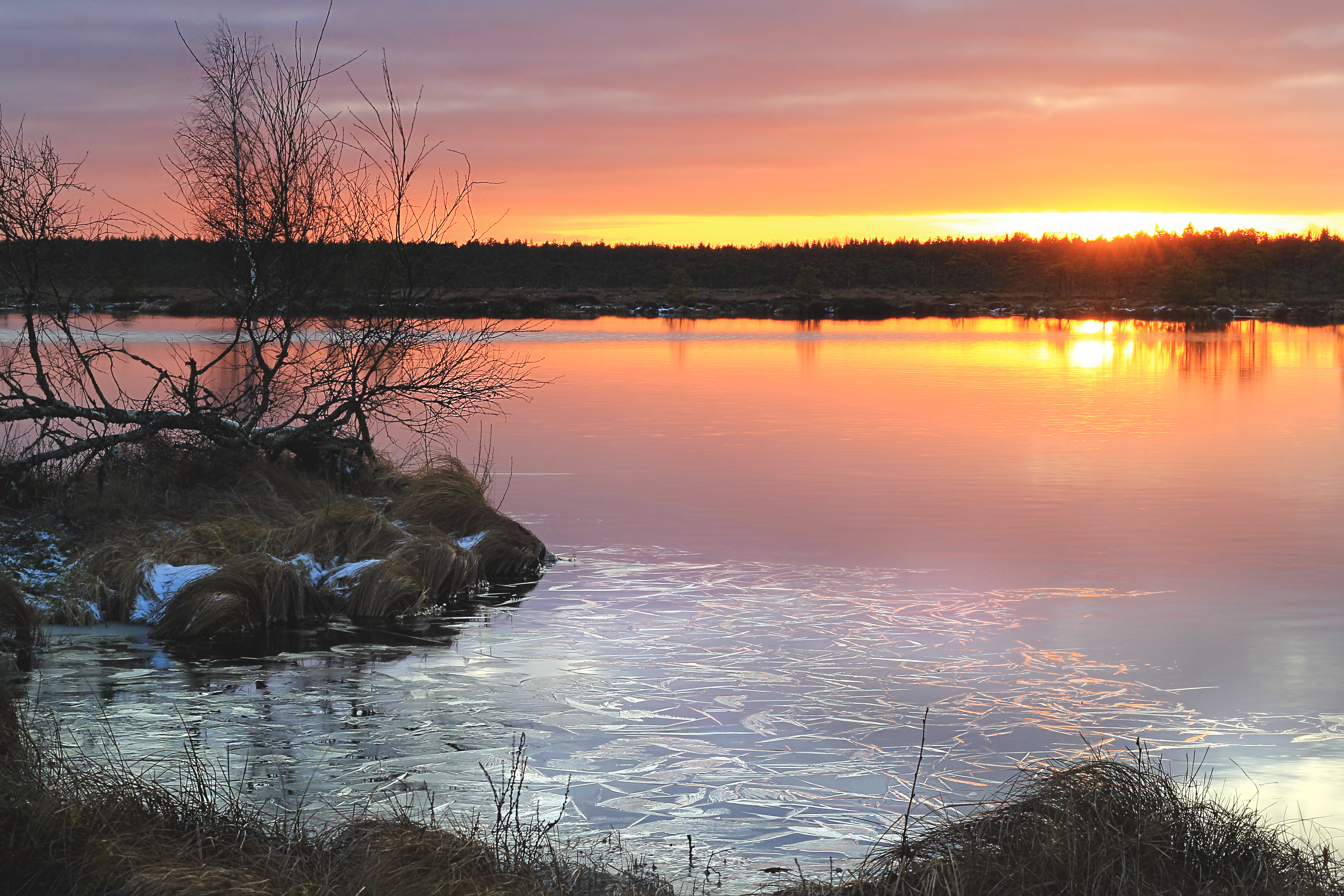 Tammsaare - Kodru raba - Järva-Madise matkarada