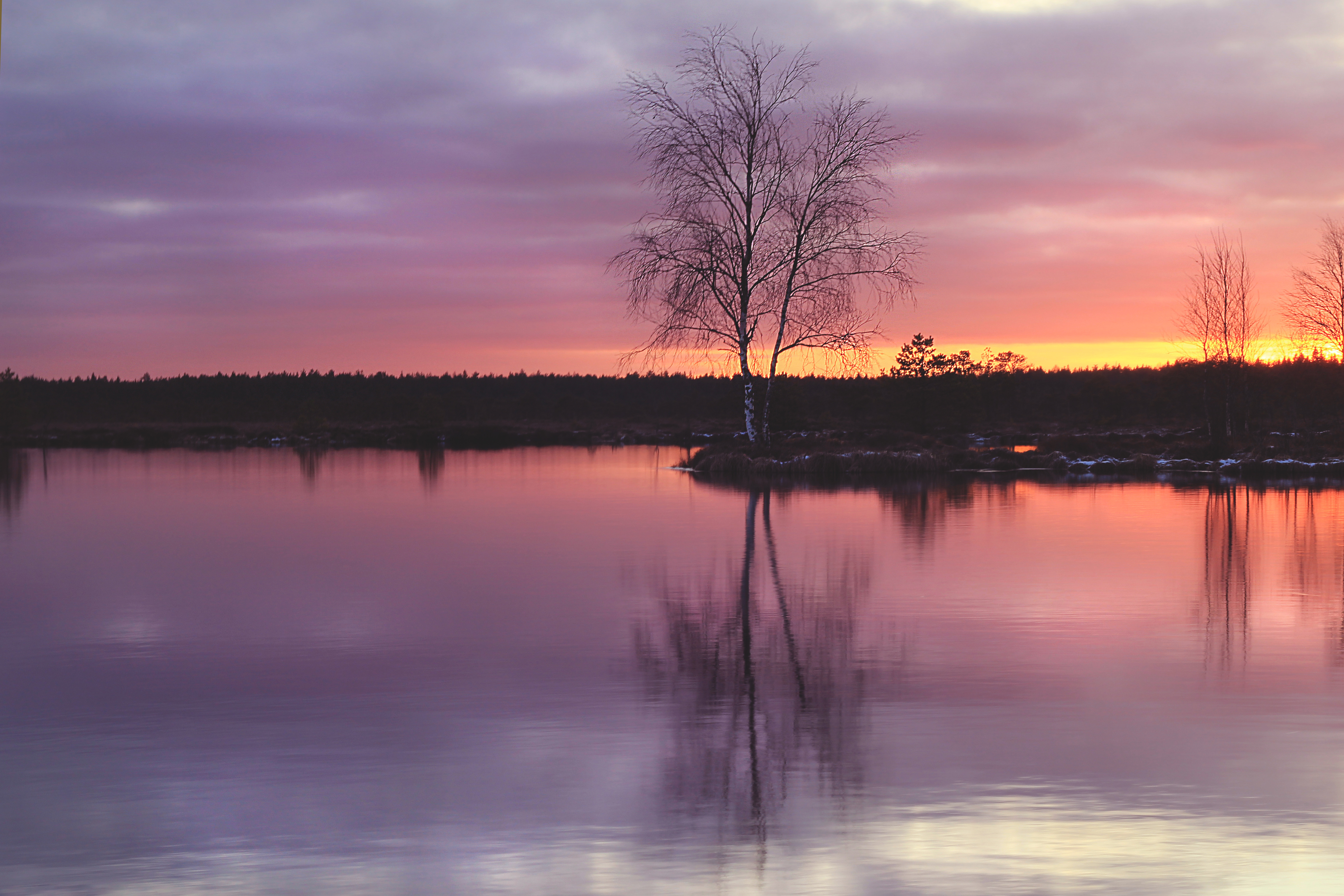 Tammsaare - Kodru raba - Järva-Madise matkarada