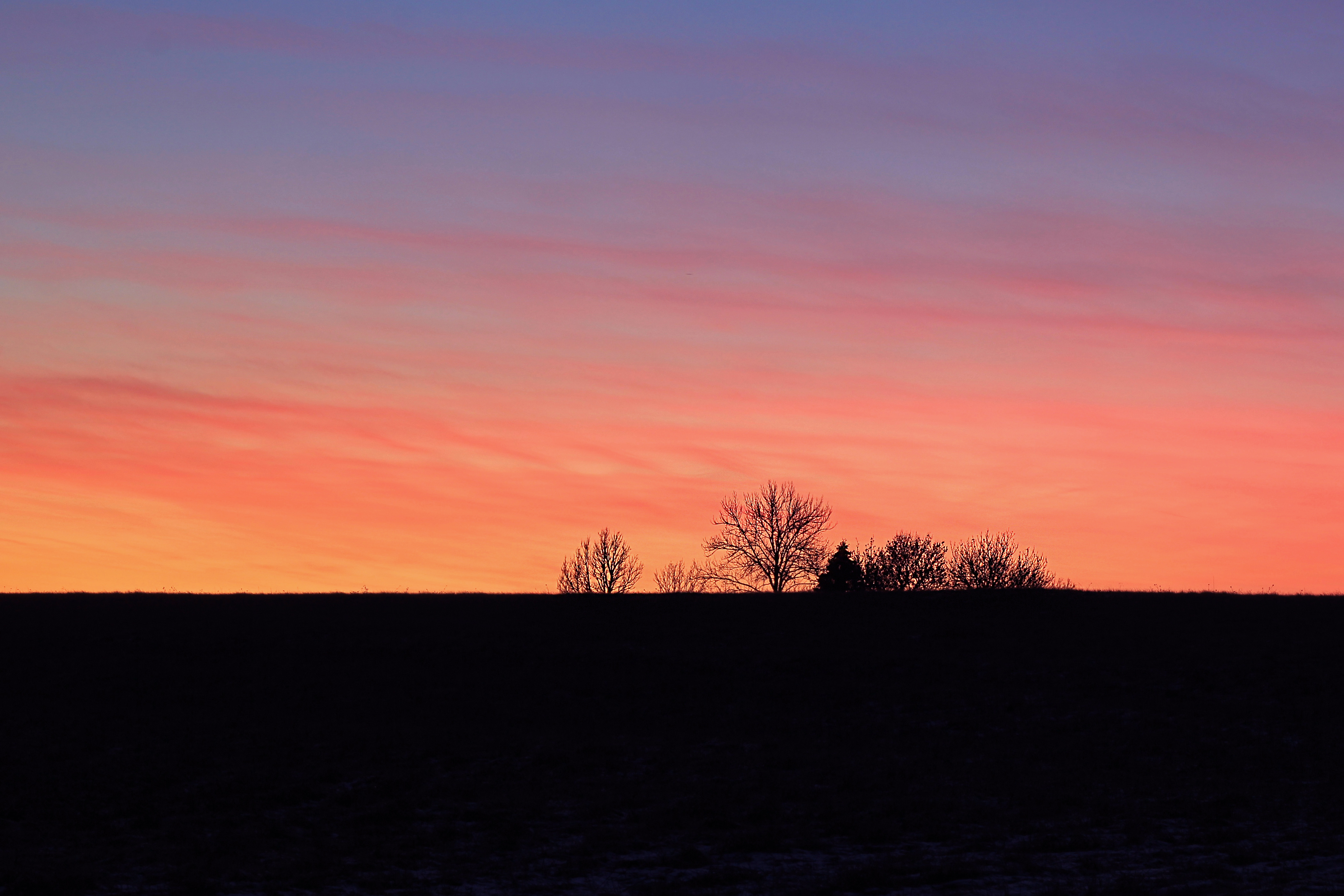 Tammsaare - Kodru raba - Järva-Madise matkarada