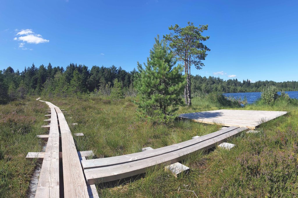 Patika Mädajärve matkarada