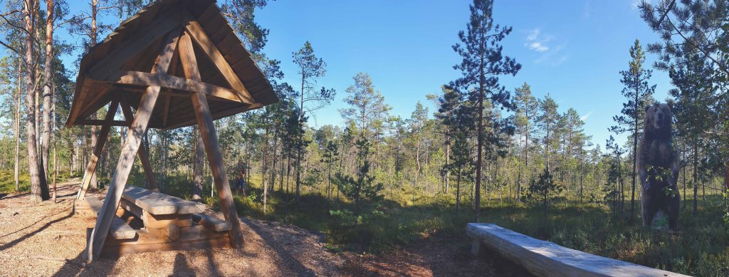 Sõõriksoo loodusrada Aegviidus