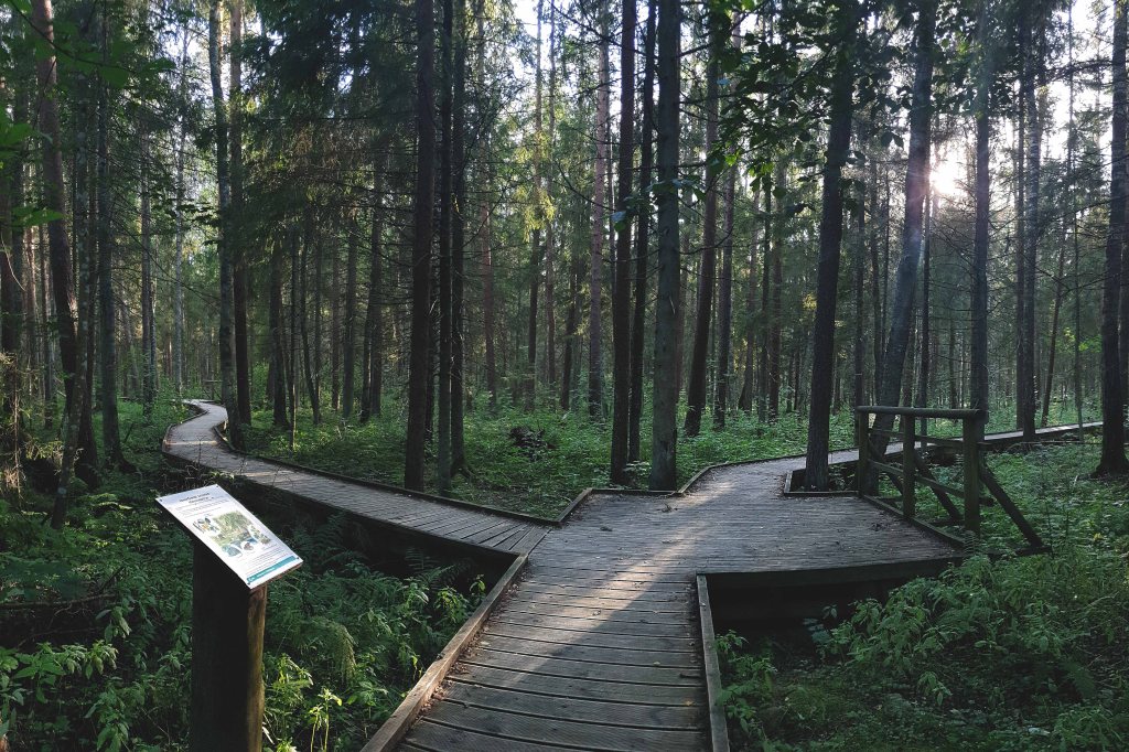 Sõõriksoo loodusrada Aegviidus, laudtee