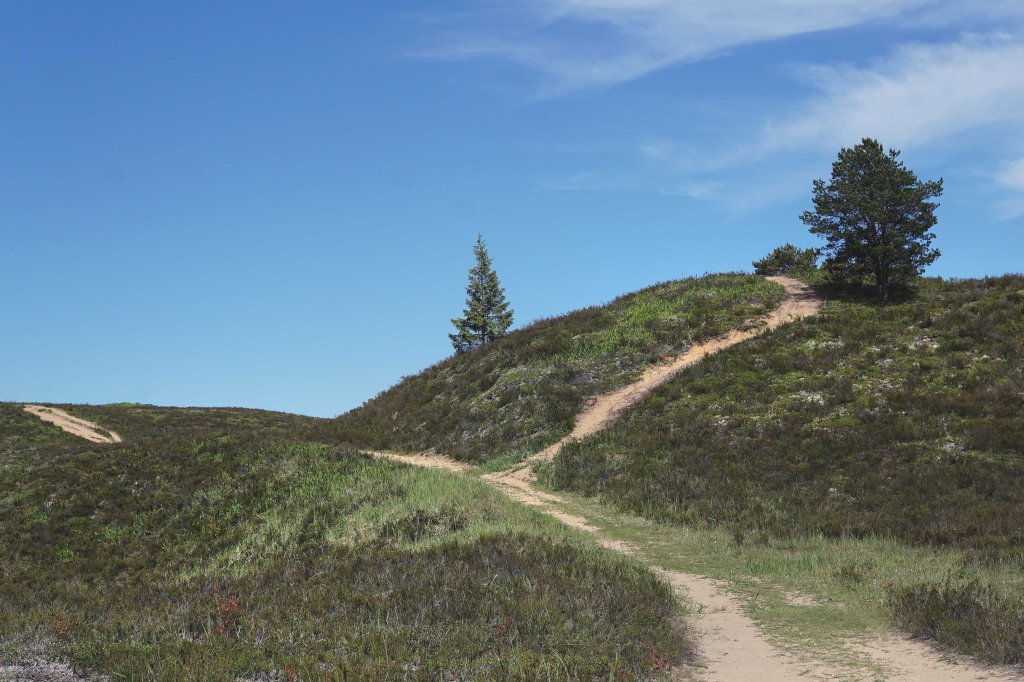 Jussi loodusrada, Jussi nõmm