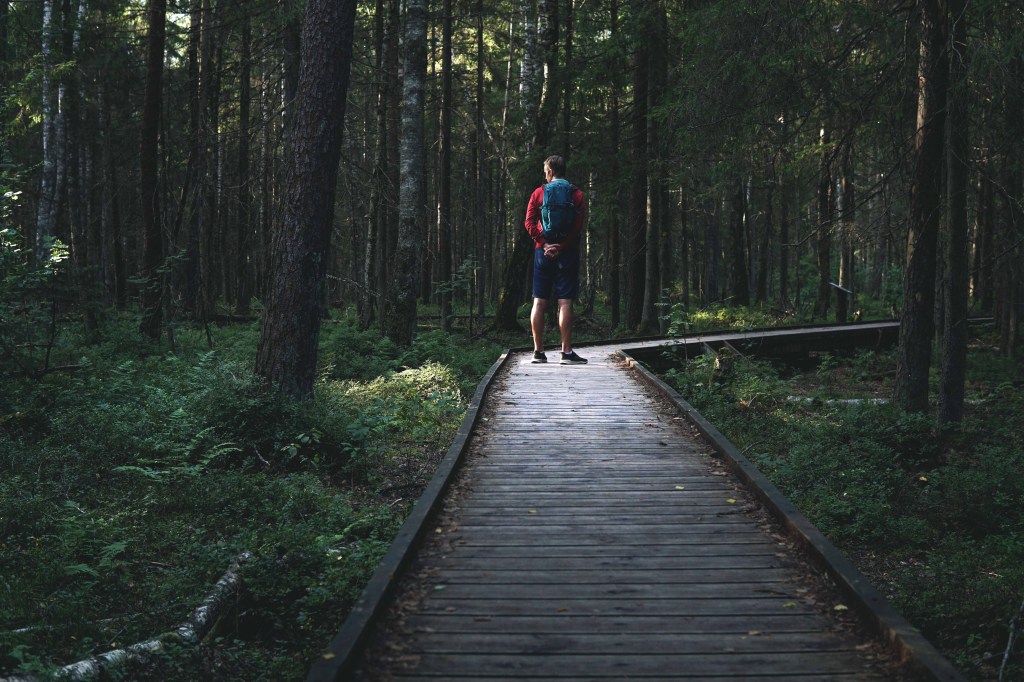 Sõõriksoo loodusrada Aegviidus