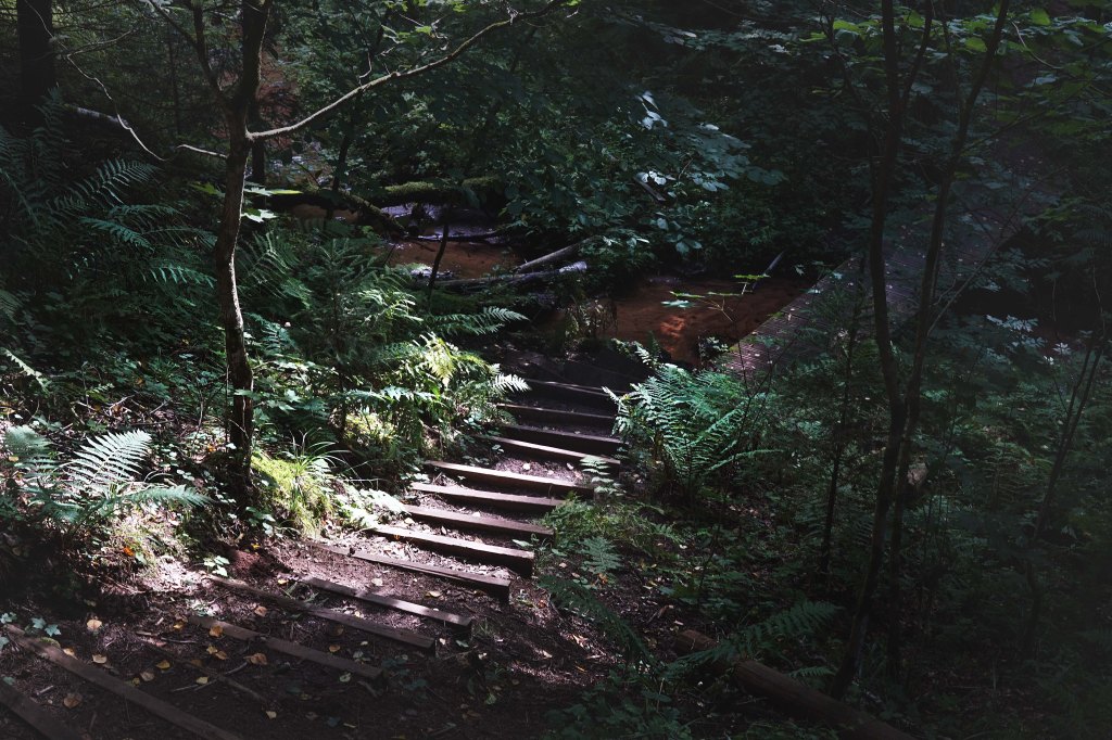 Loodi (Paistu) matkarada