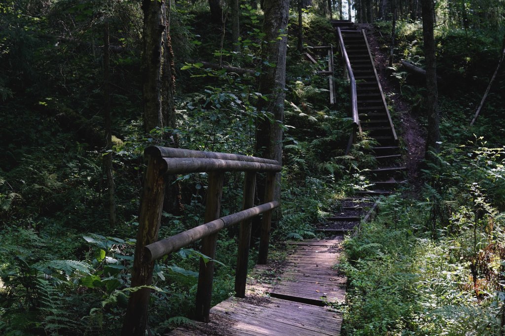 Loodi (Paistu) matkarada