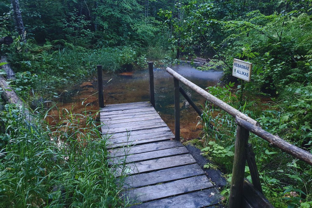 Rebasmäe allikas, (Rebasemäe, Ilumetsa)