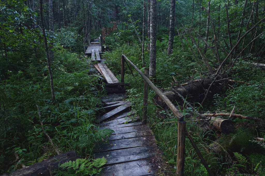 Rebasmäe allikas, (Rebasemäe, Ilumetsa)