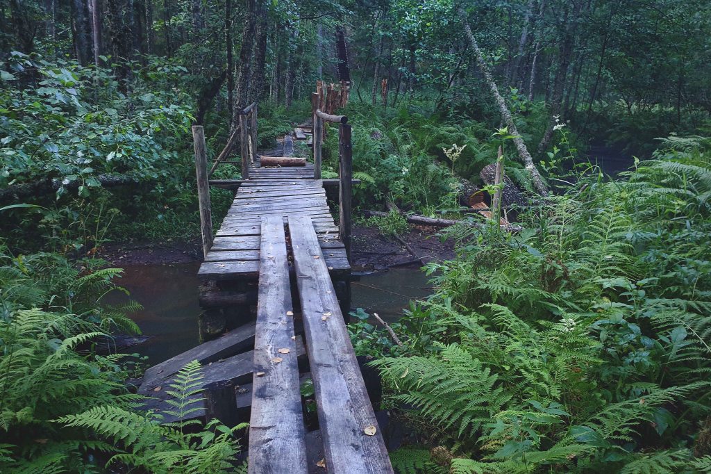 Rebasmäe allikas, (Rebasemäe, Ilumetsa)