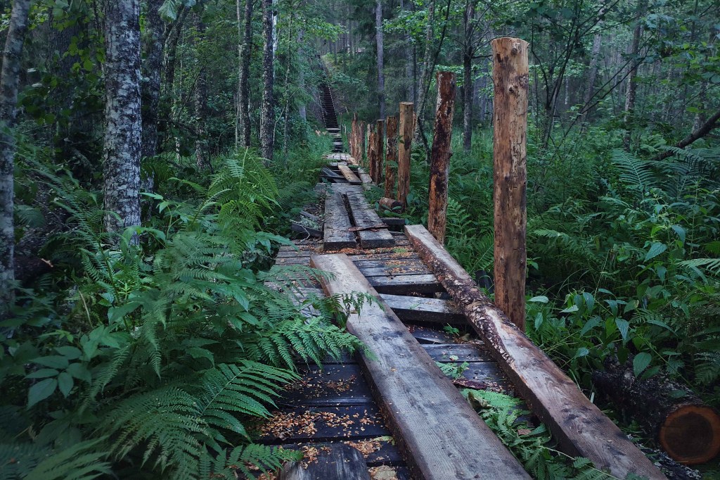 Rebasmäe allikas, (Rebasemäe, Ilumetsa)