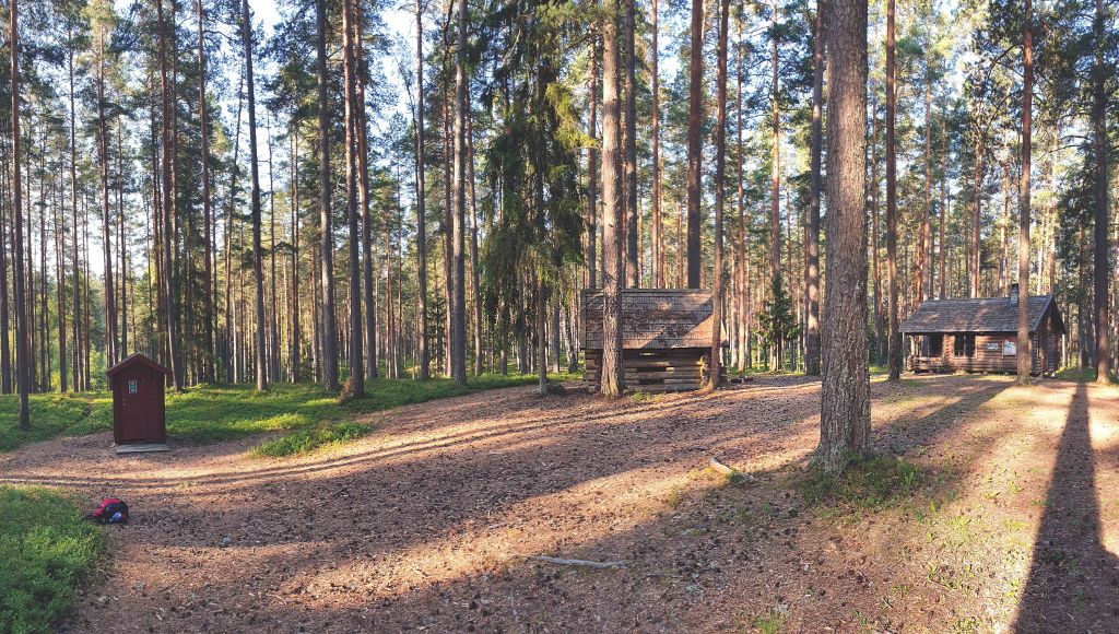 Meenikunno raba, Liipsaare metsaonn