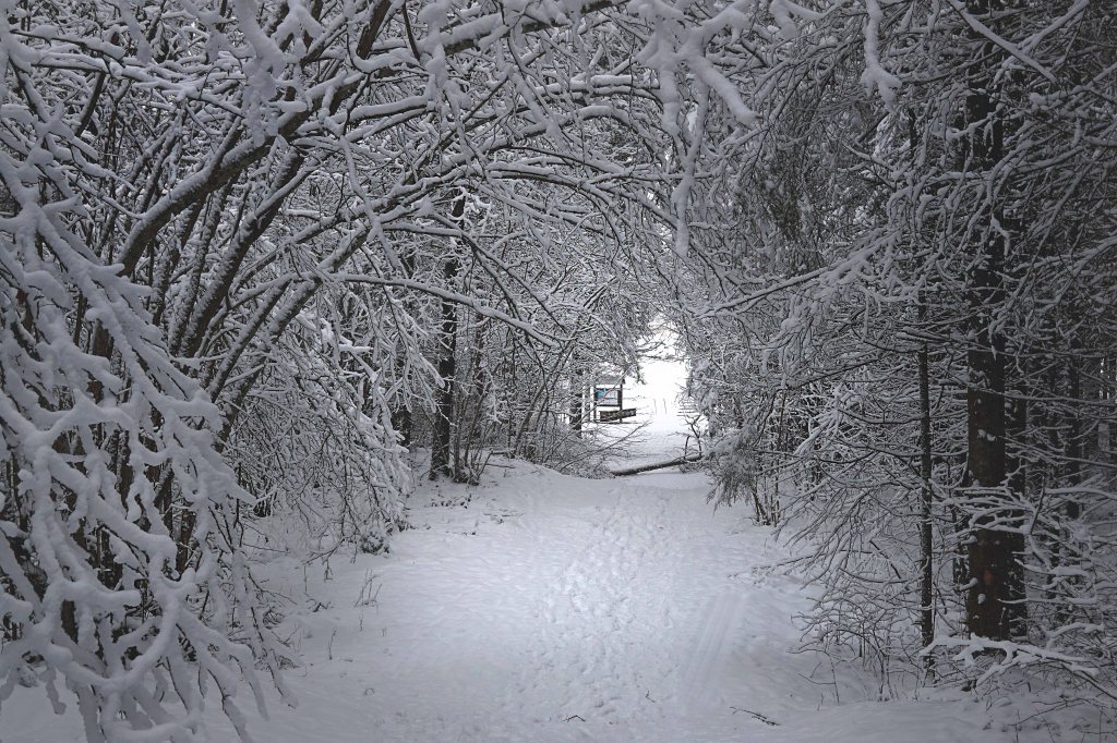 Äntu-Nõmme õpperada