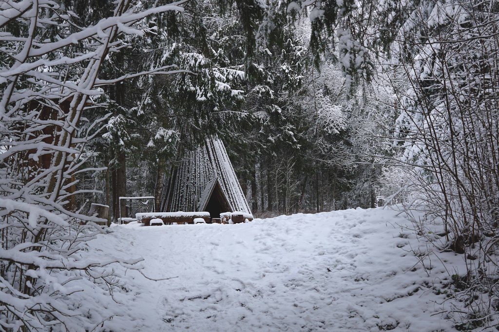 Äntu-Nõmme õpperada, Äntu Punamägi