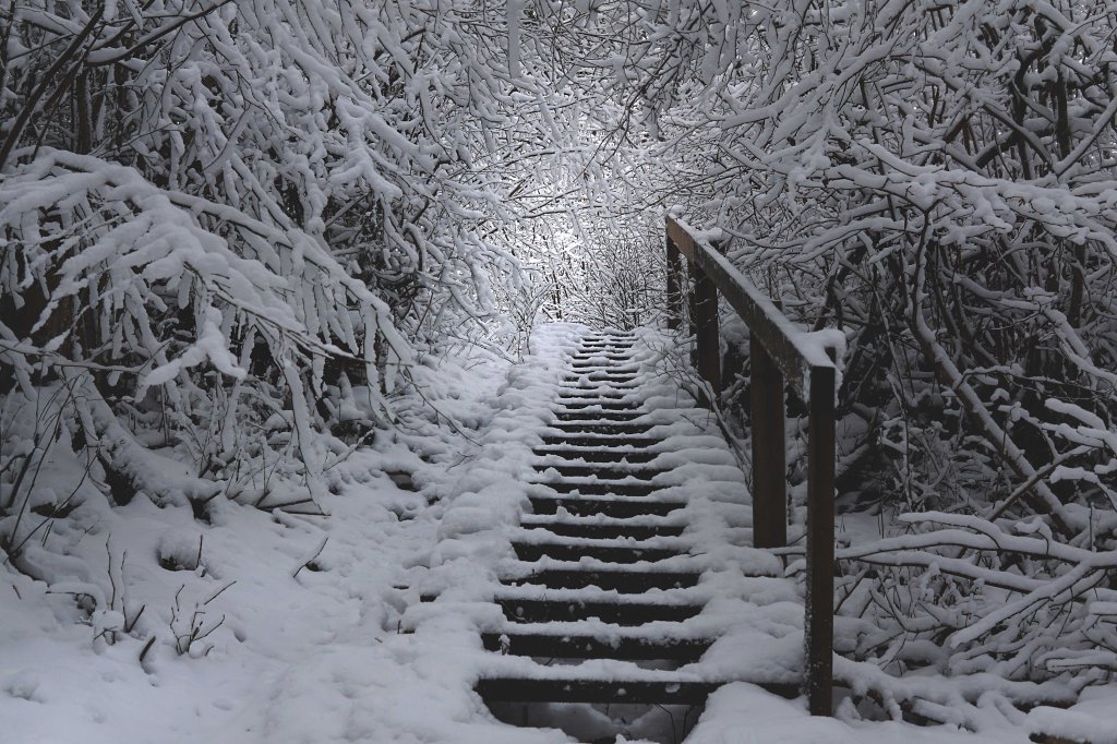 Äntu-Nõmme õpperada