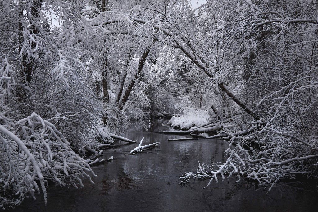 Äntu-Nõmme õpperada, Nõmme jõgi