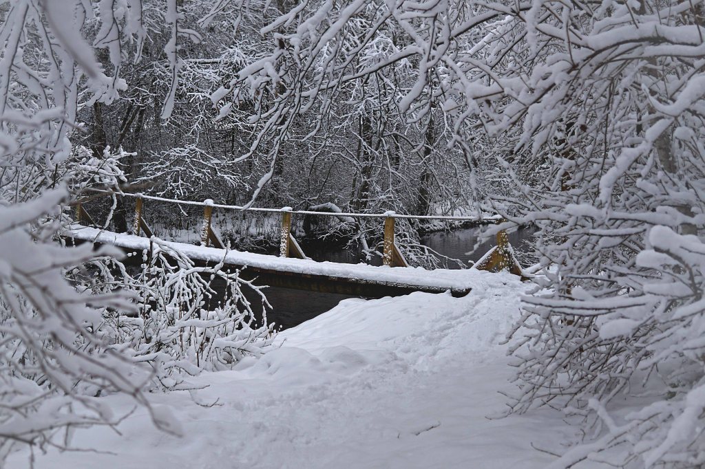 Äntu-Nõmme õpperada, Nõmme jõgi