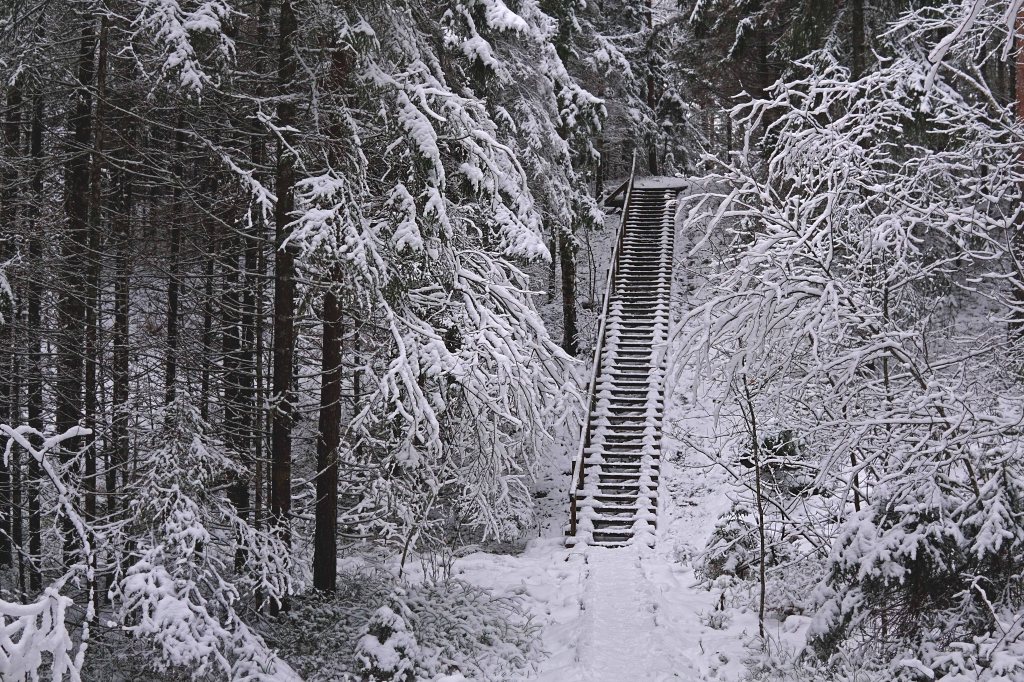 Äntu-Nõmme õpperada