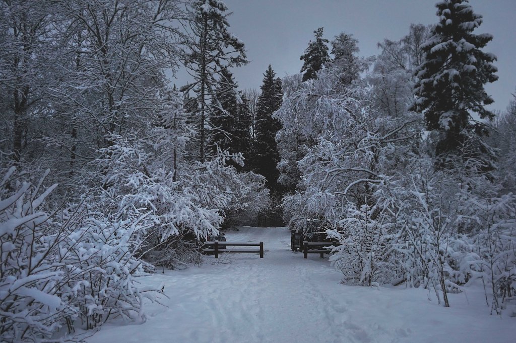 Äntu-Nõmme õpperada