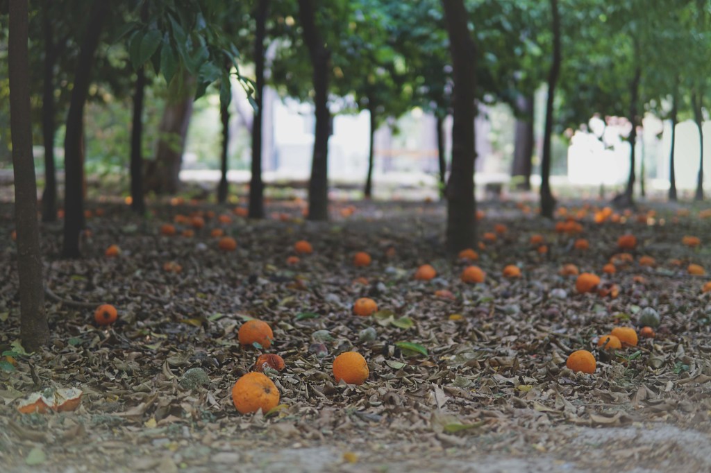 Ateena, National Garden