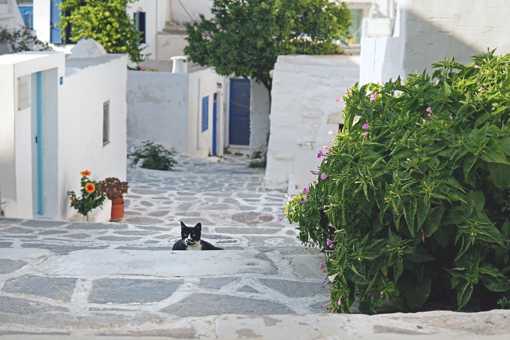 Paros Parikia
