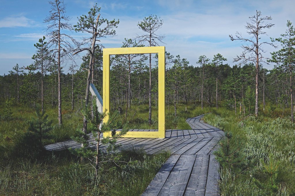 Valgesoo õpperada, National Geographicu kollane aken