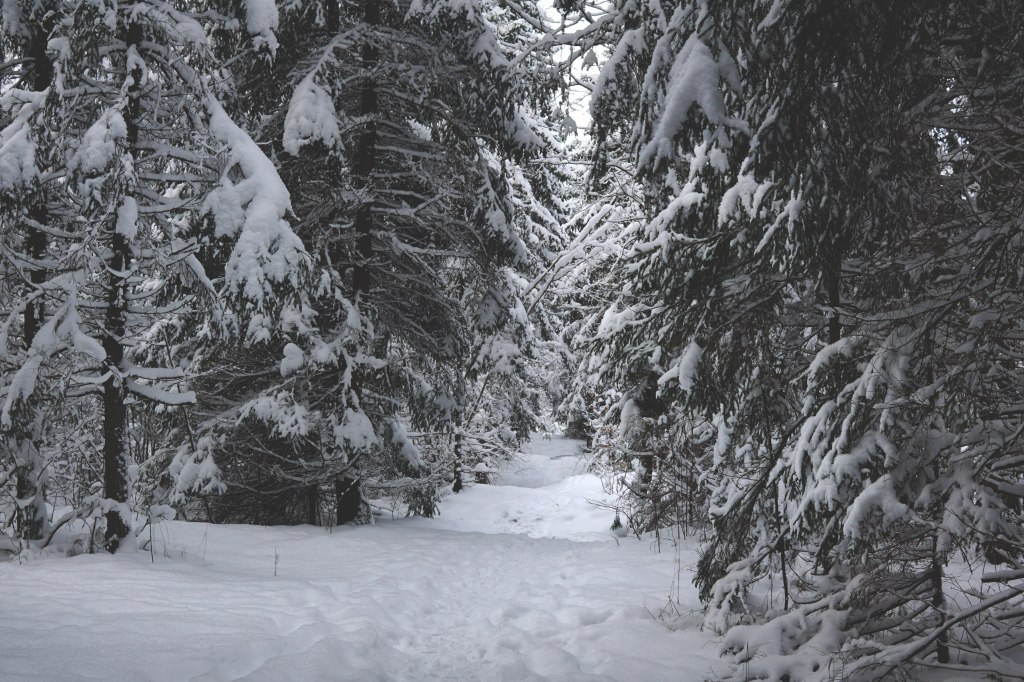 Marimetsa raba matkarada