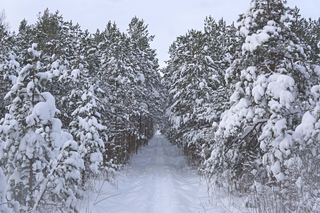 Marimetsa raba matkarada