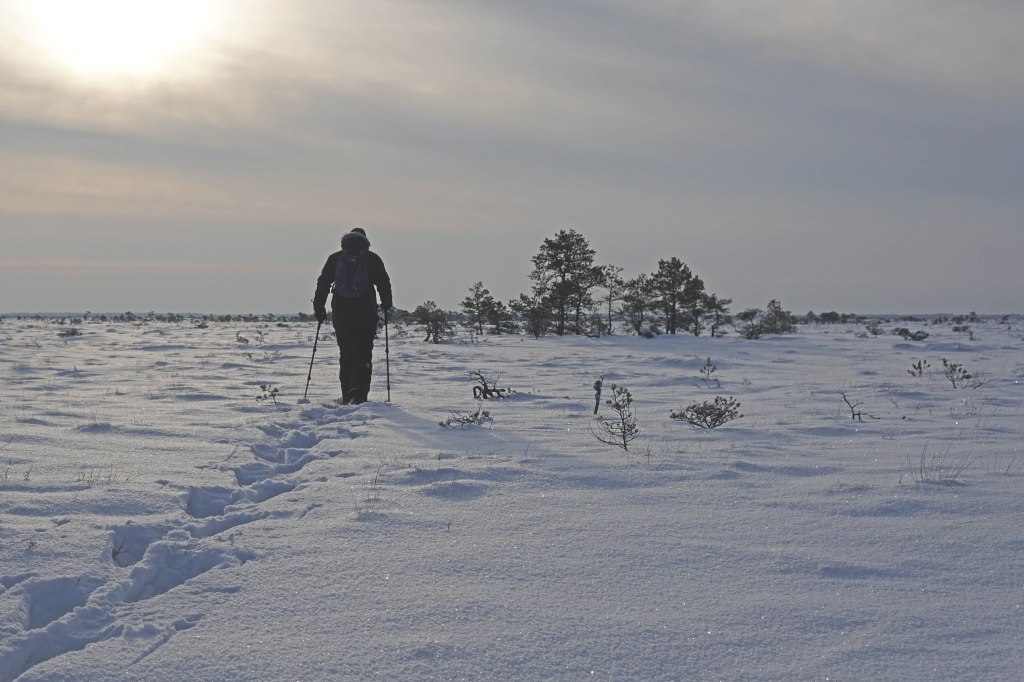 Marimetsa raba, räätsamatk