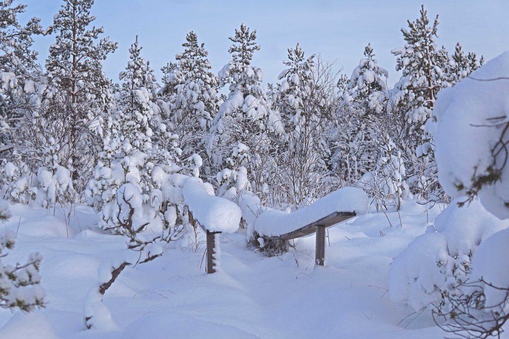 Marimetsa raba, räätsamatk