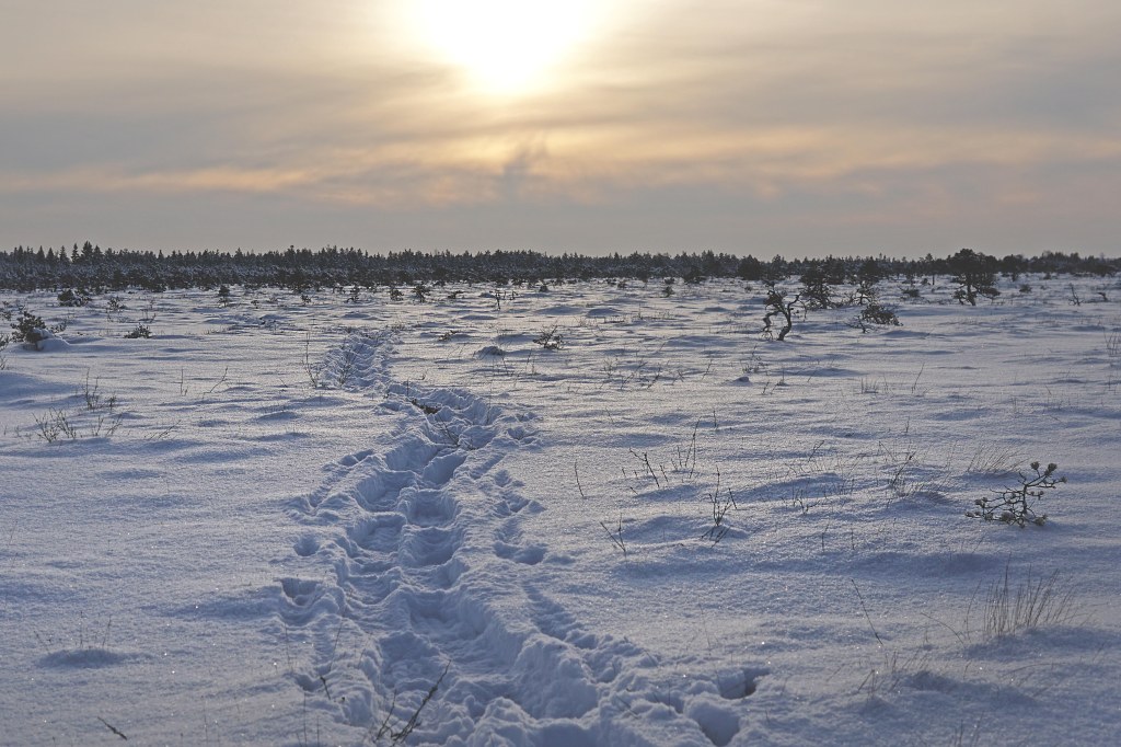 Marimetsa raba, räätsamatk