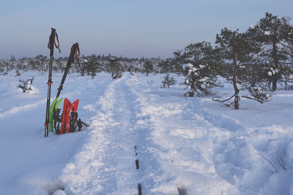 Marimetsa raba, räätsamatk