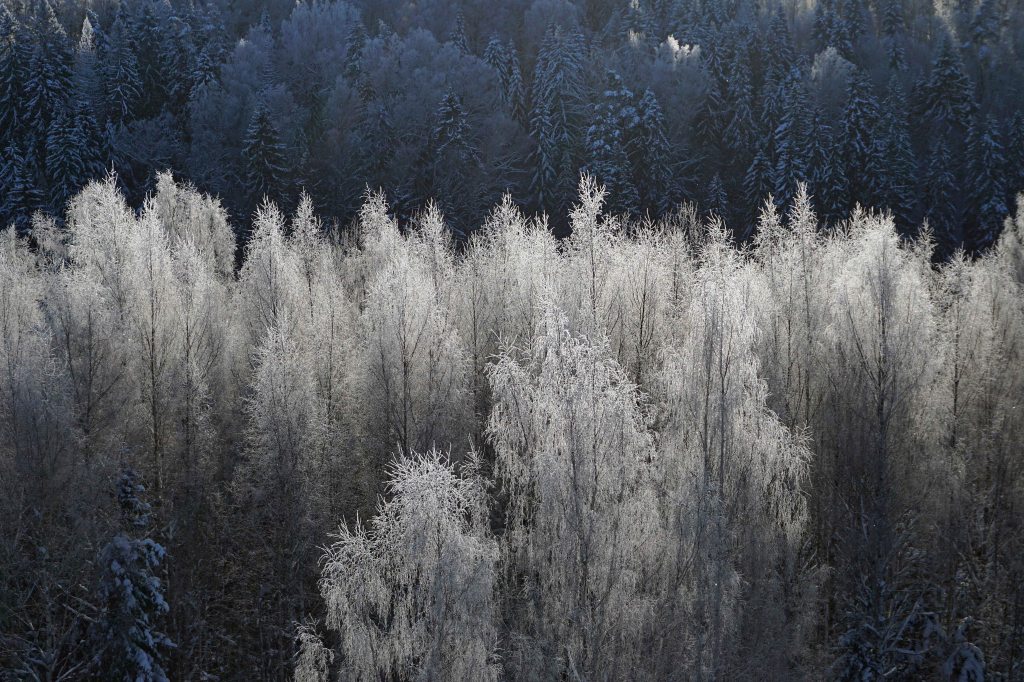 Raadi vaatetorn, Paganamaa