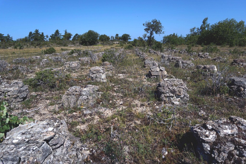 Väike-Pakri, Pakri saared