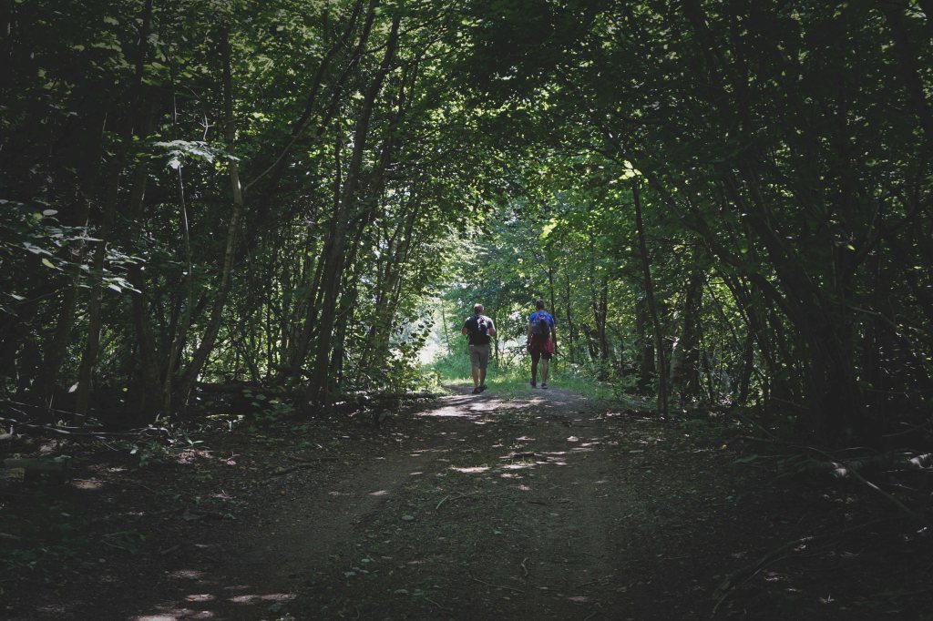 Väike-Pakri, Pakri saared