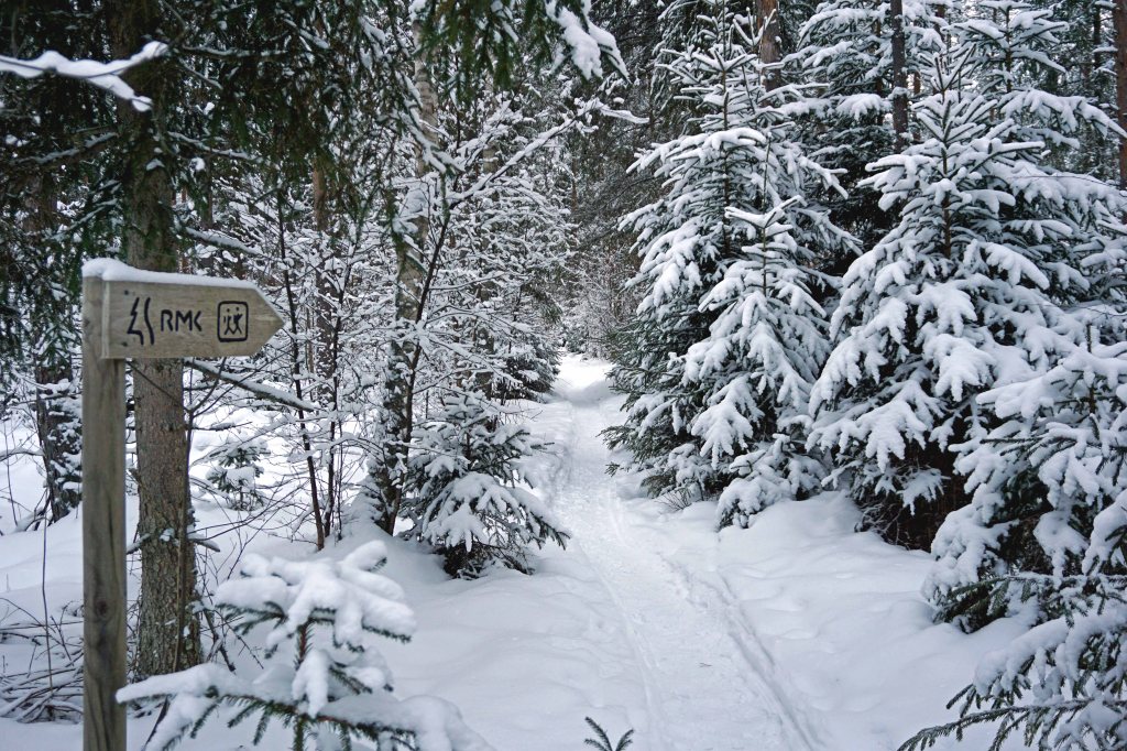 Endla järve matkarada