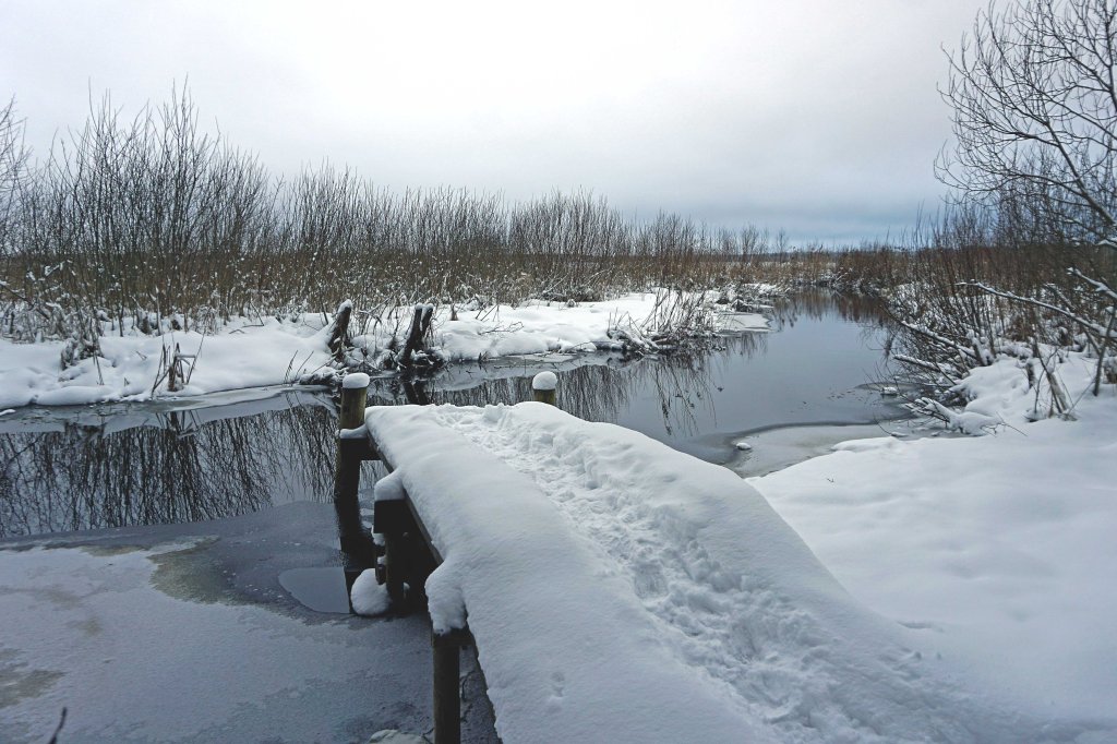 Endla järve matkarada