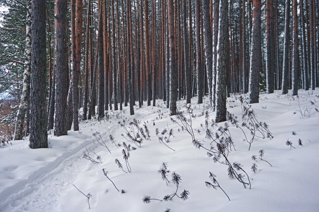 Endla järve matkarada