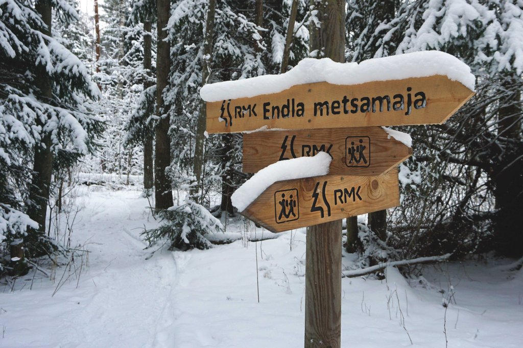 Endla järve matkarada, Endla metsamaja